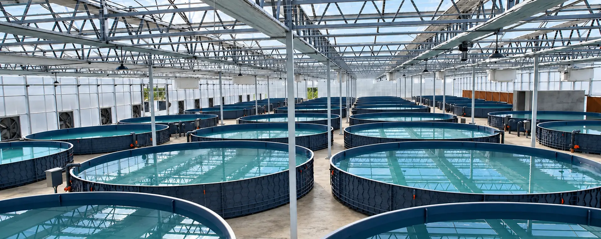 Indoor aquaculture facility with circular culture tanks
