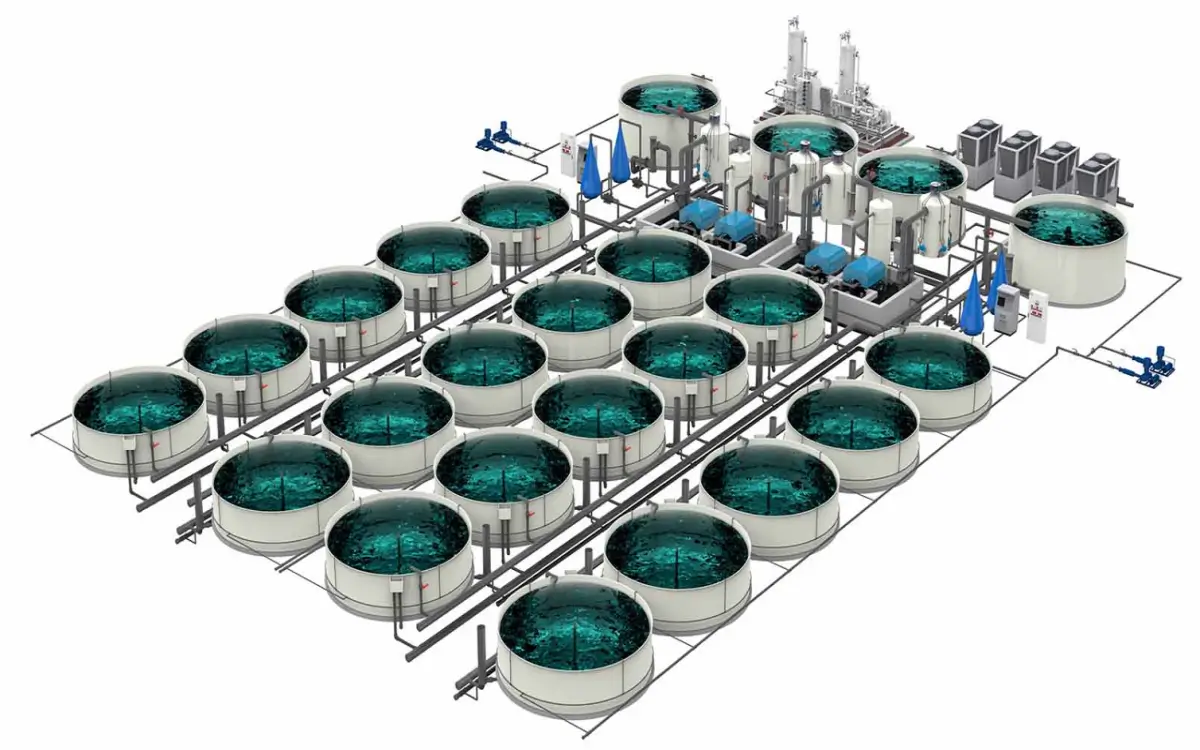 Why Does Your RAS Drum Filter Backwash Too Often? Checks and Maintenance Tips