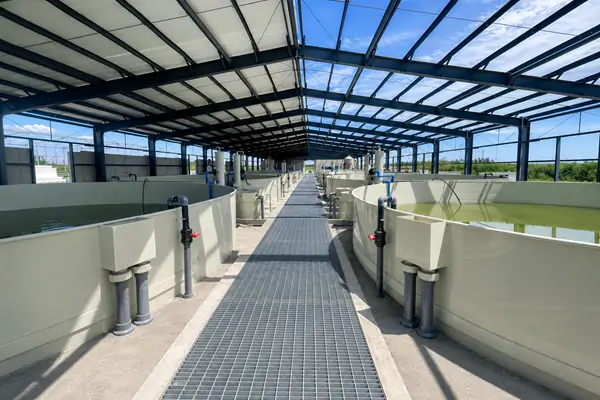Tank manufacturing combined with RAS engineering