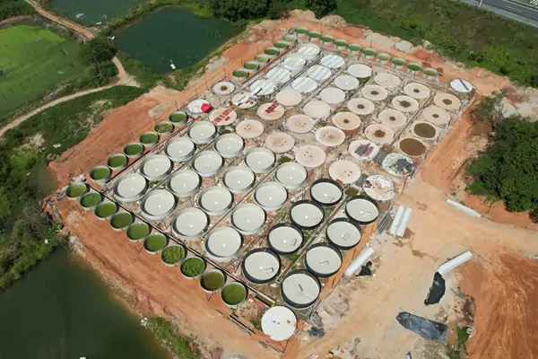 Commercial aquaculture project experience