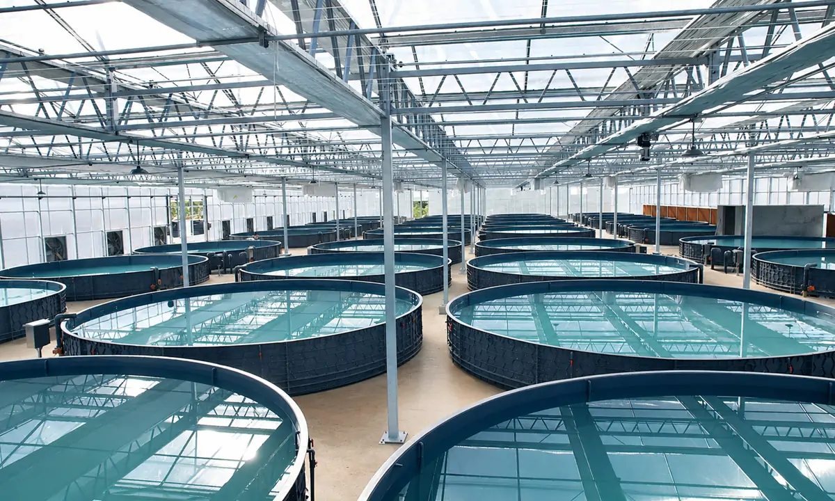 Commercial aquaculture tank for fish farming