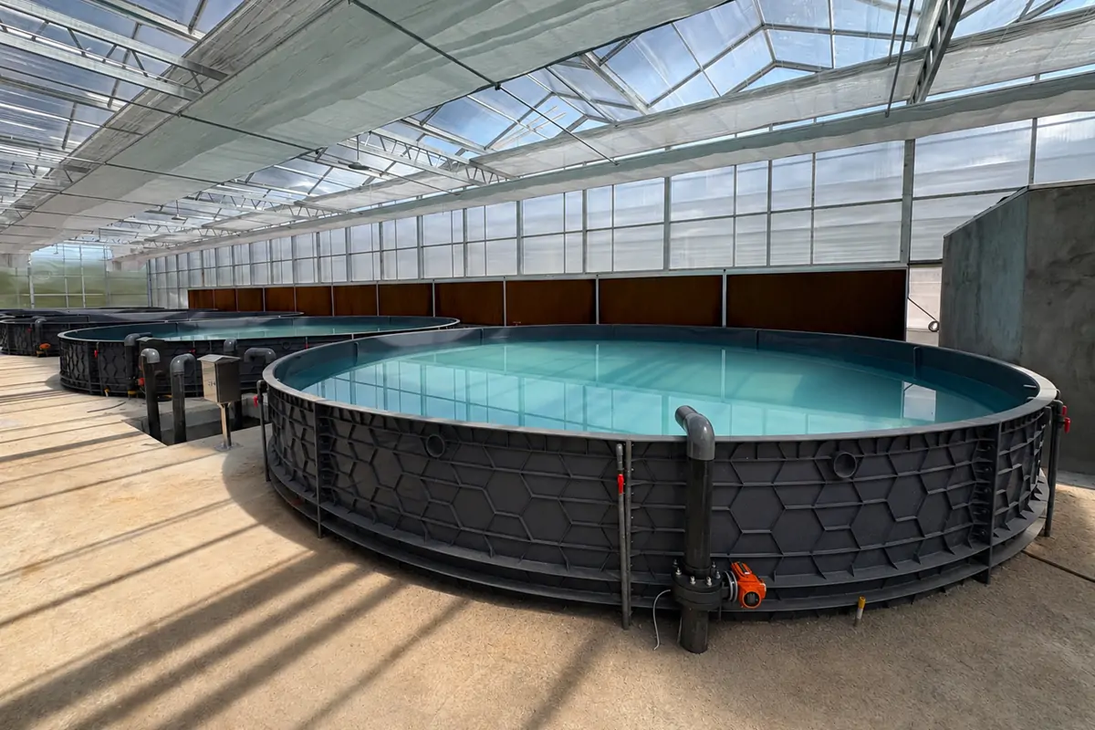 Aquaculture tank culture environment