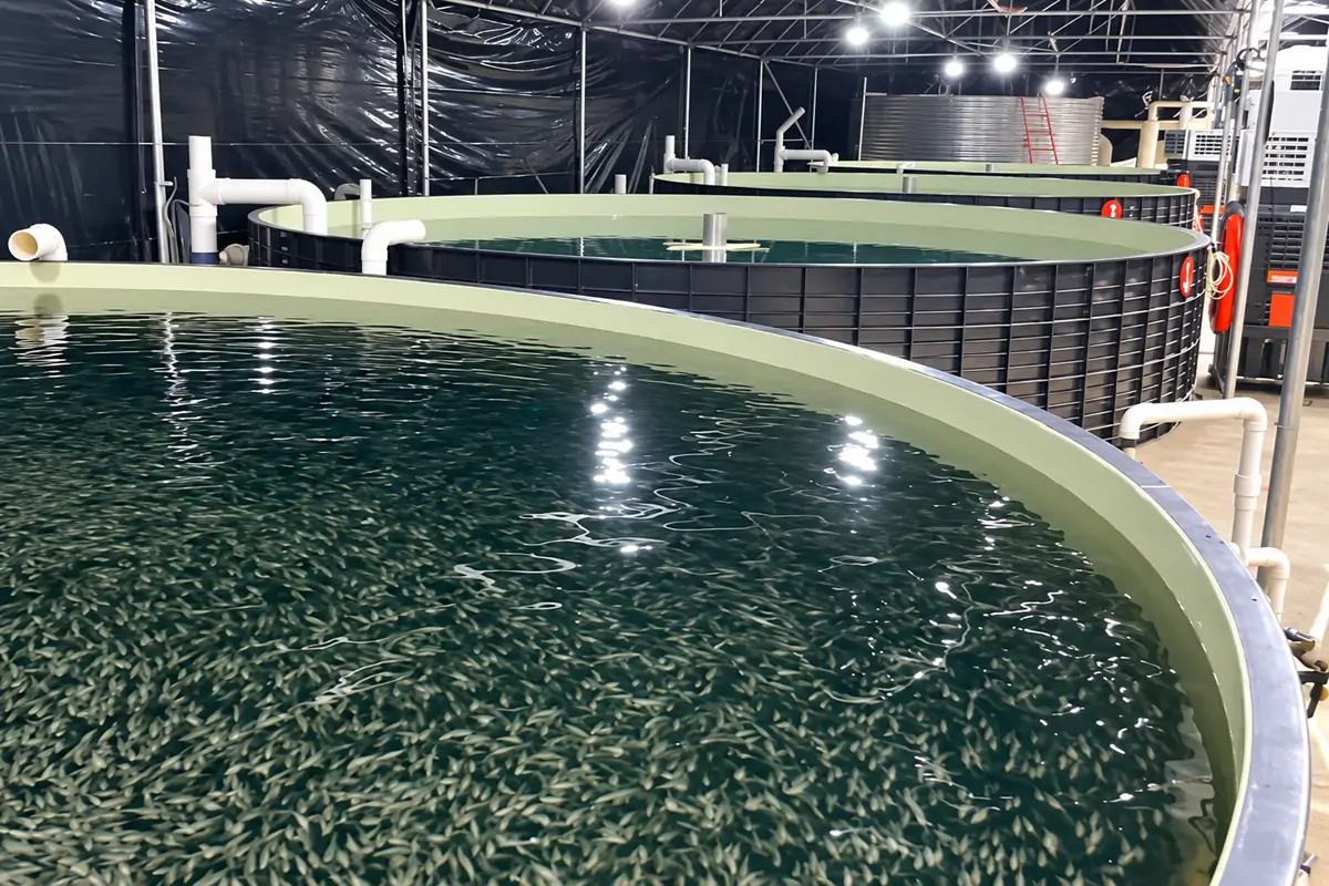 Hatchery and nursery biological filtration