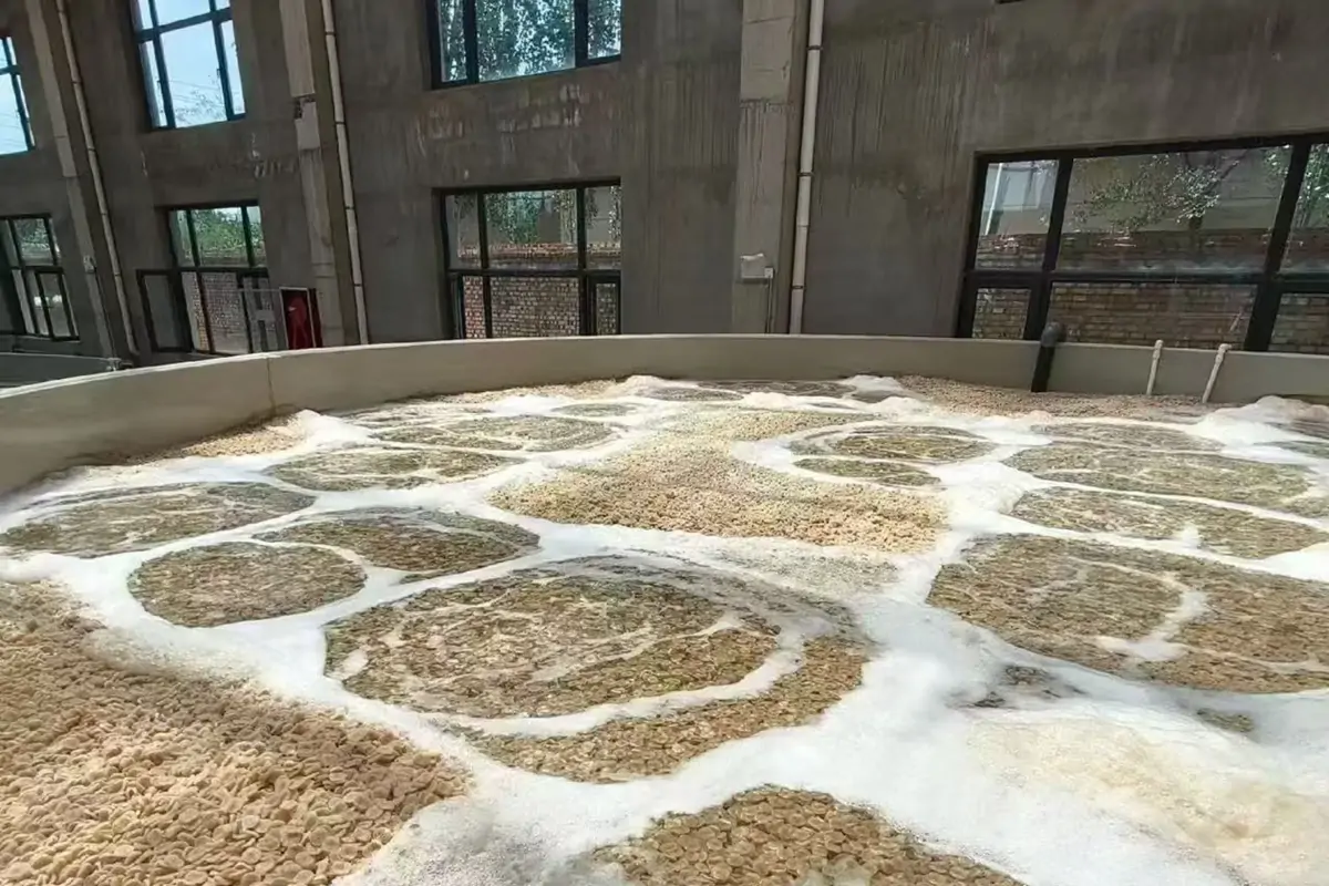 MBBR biofilter aeration