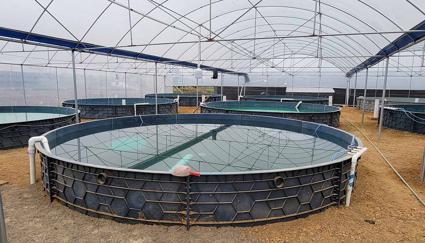 Collaboration Cases 89