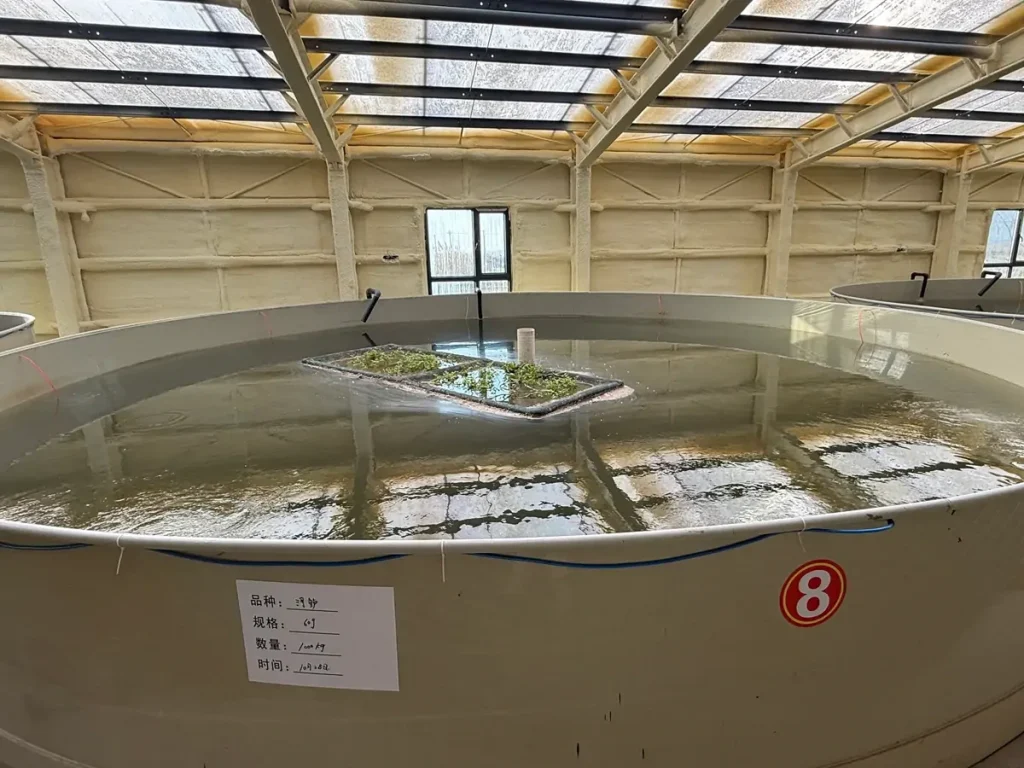 Water-filled circular tank with overhead pipework and a grated access panel.