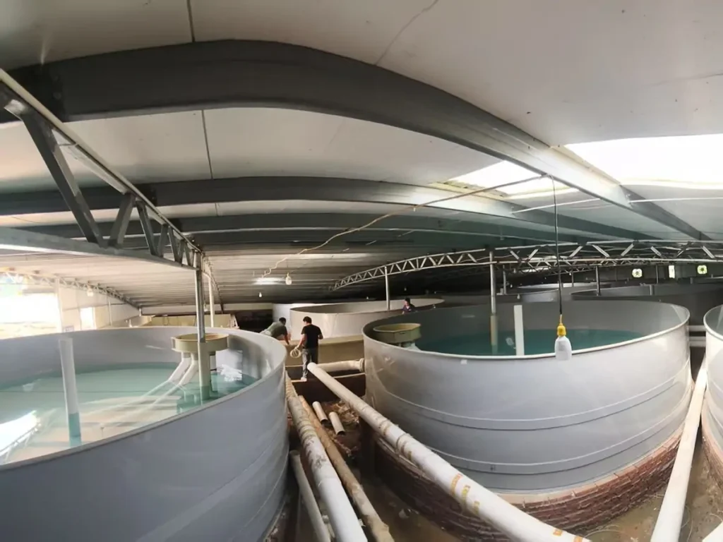 Circular tanks beneath a low roof with a narrow walkway between them.