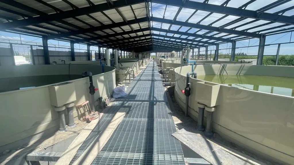 Circular tanks on both sides of a grated walkway beneath a steel-framed roof.