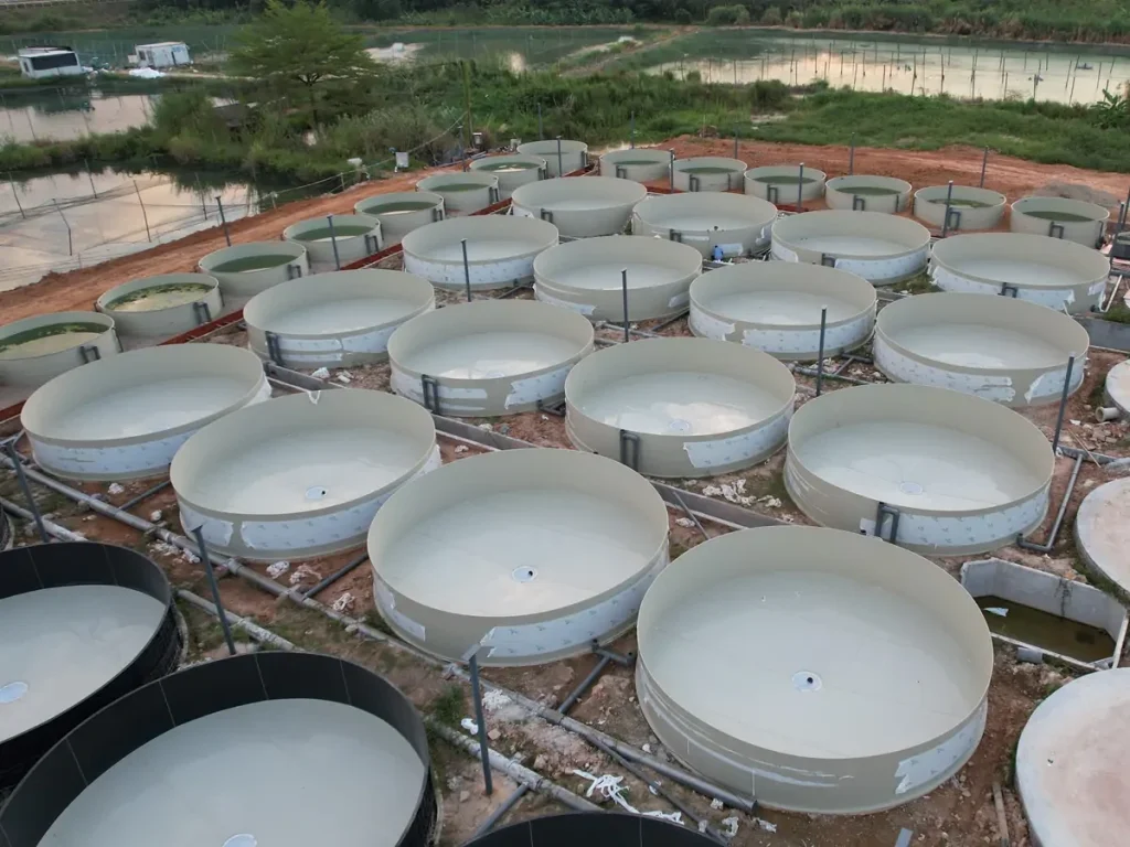 Circular tanks of different sizes with interconnecting pipework.