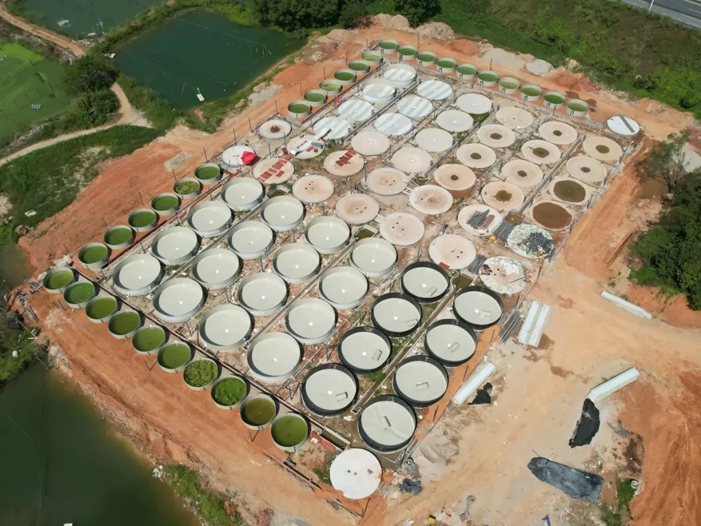 Circular tanks and pipe routes across the aquaculture site.