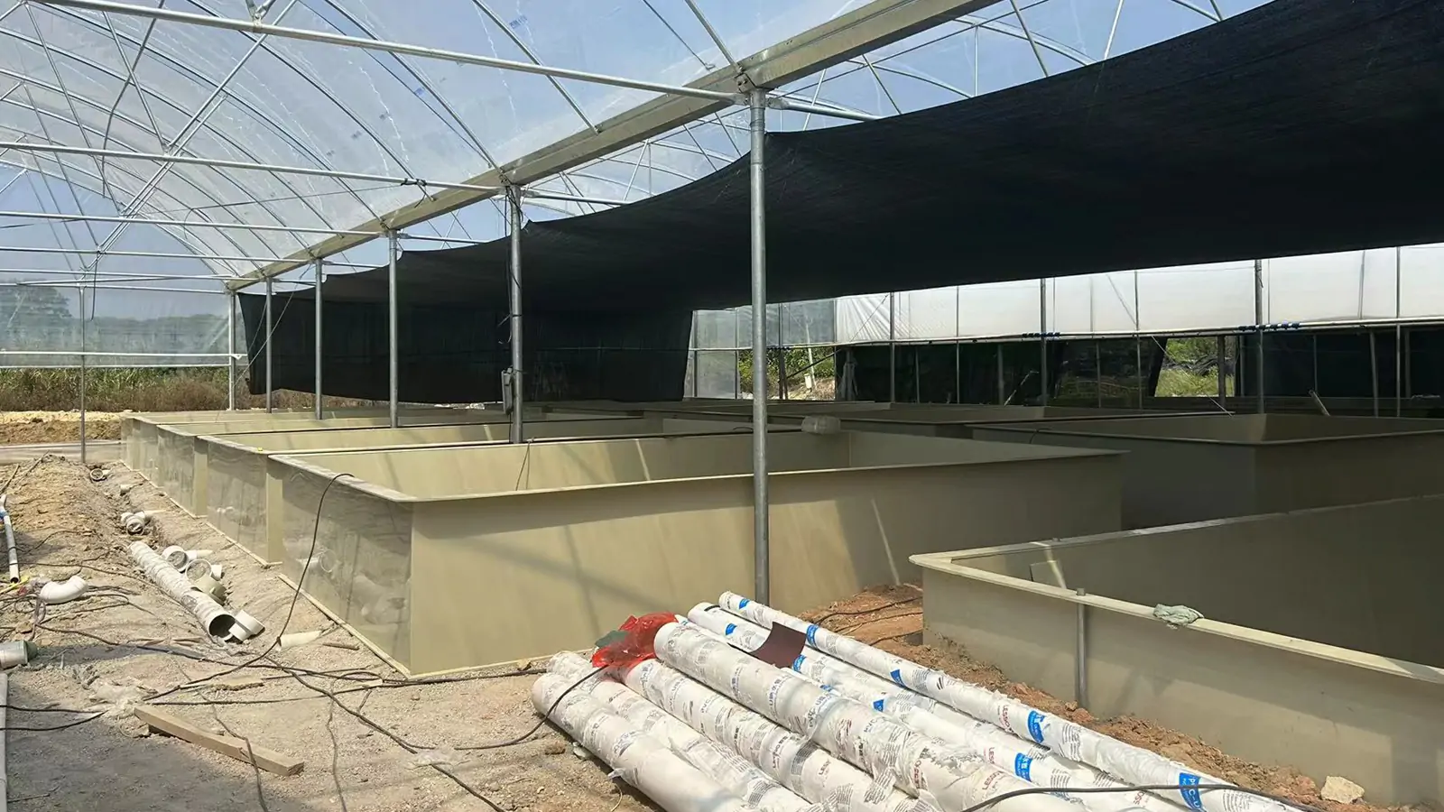 Rectangular welded PP aquaculture tanks used in a RAS project in Vietnam