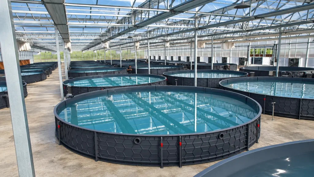 YUTANK large reinforced PP tanks for commercial aquaculture